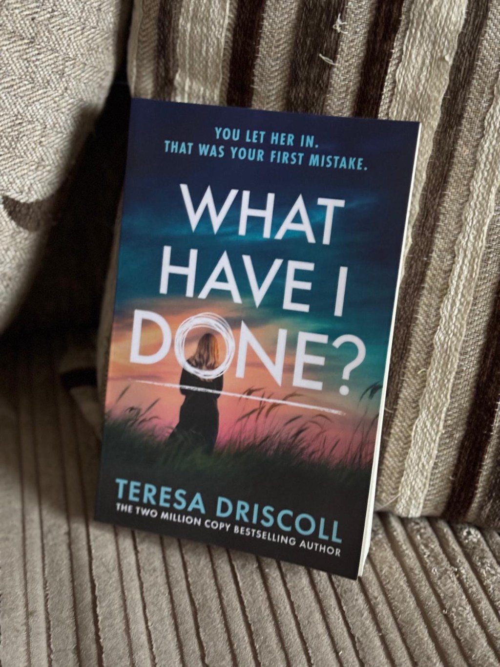 A Mother’s Mistake: The Dark Twist in What Have I Done?