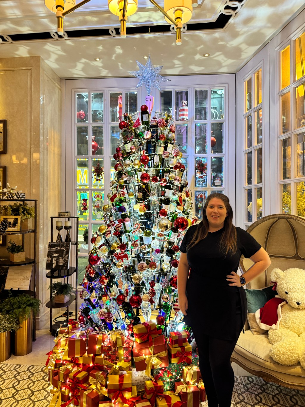 Dramatic Reads: Thrillers and Cozy Favorites